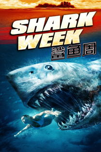 shark小说