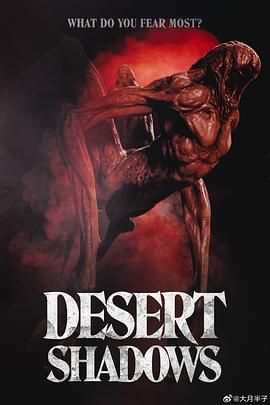 通过沙漠之夜电影免费观看