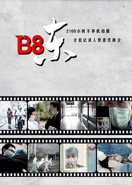 b8视频播放器